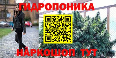 крисы Кандалакша
