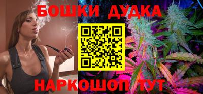 крисы Кандалакша